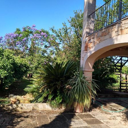 Lujosa Casa Mallorquina Restaurada Ses Salines  Dış mekan fotoğraf