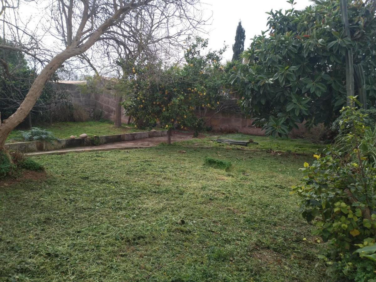 Lujosa Casa Mallorquina Restaurada Ses Salines  Dış mekan fotoğraf