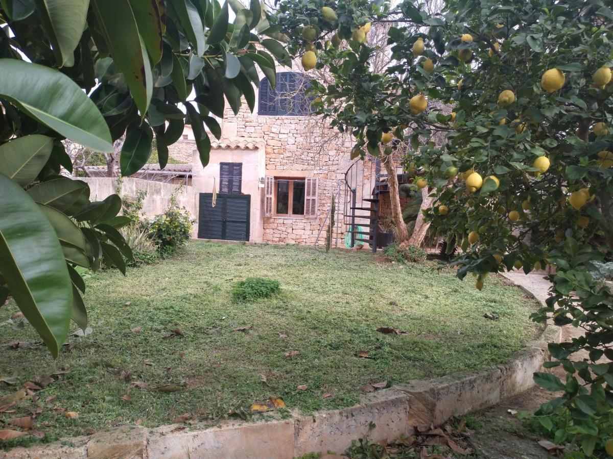Lujosa Casa Mallorquina Restaurada Ses Salines  Dış mekan fotoğraf